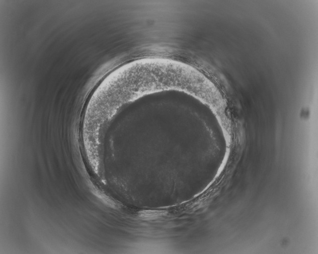 X0000116850051201002021054