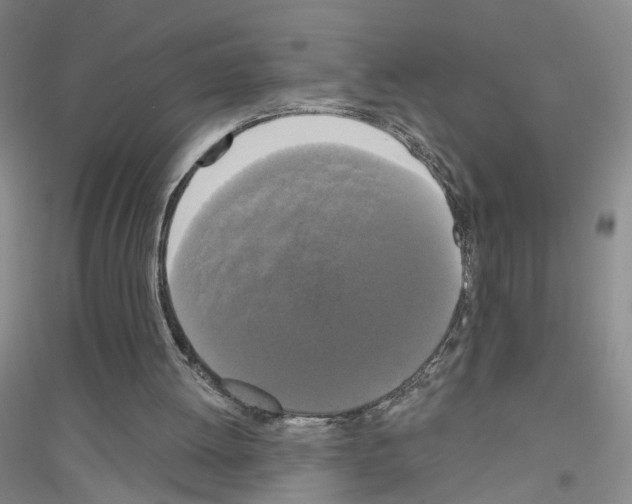 X0000116850052201002021054