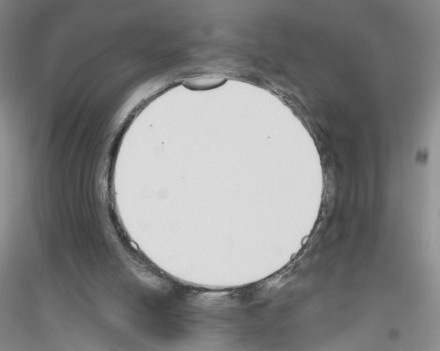 X0000116850054201002021054