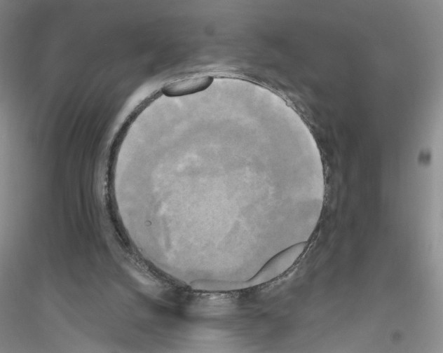 X0000116850056201002021054