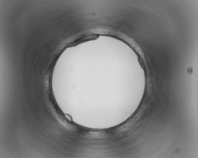 X0000116850057201002021054
