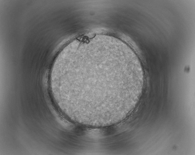 X0000116850058201002021054