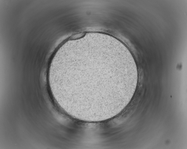 X0000116850060201002021054