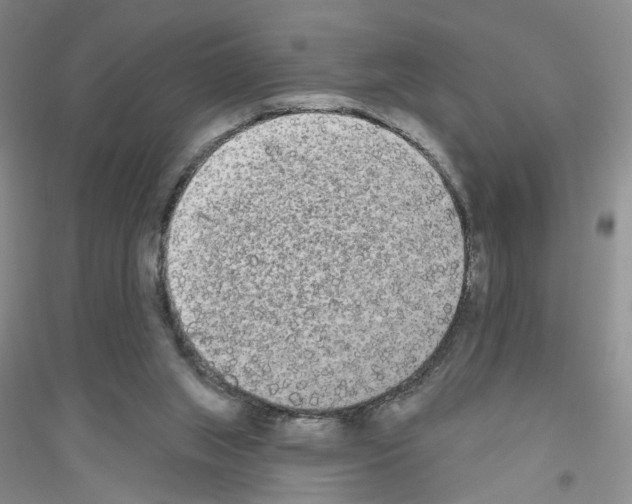 X0000116850063201002021054