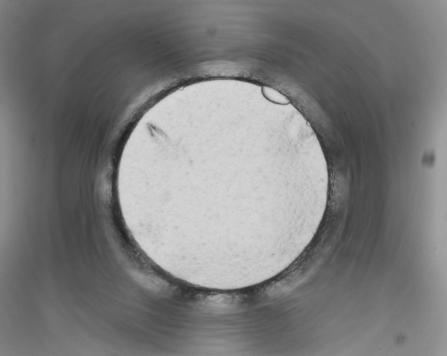 X0000116850064201002021054