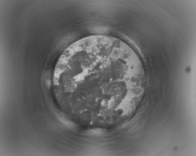 X0000116850069201002021054