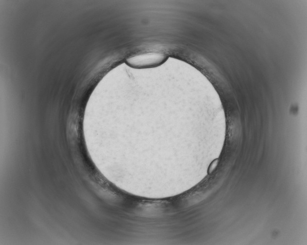 X0000116850072201002021054