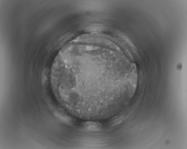 X0000116850073201002021054
