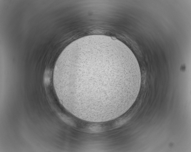 X0000116850075201002021054