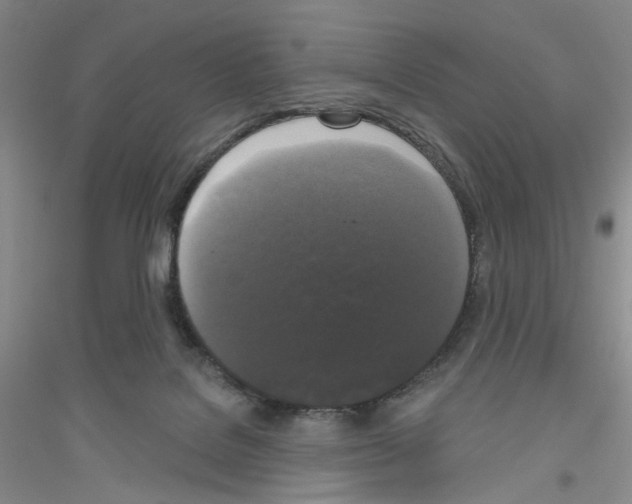 X0000116850076201002021054