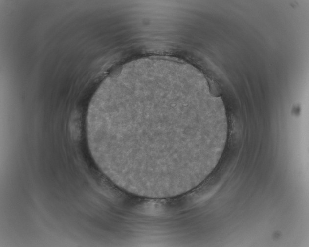 X0000116850080201002021054