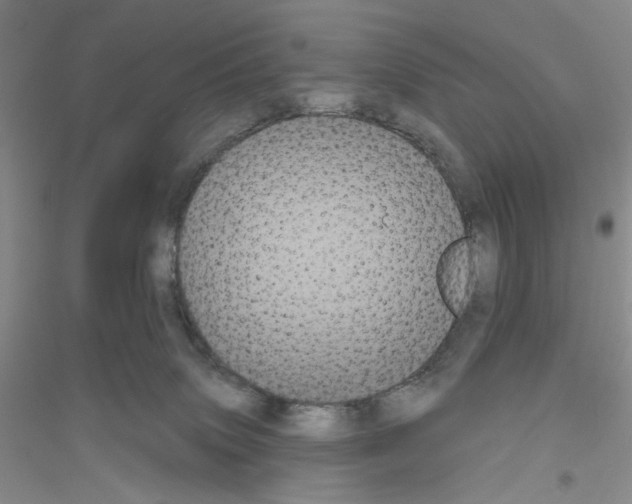 X0000116850083201002021054