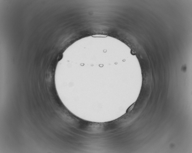 X0000116850084201002021054