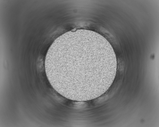 X0000116850087201002021054