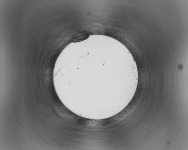 X0000116850088201002021054
