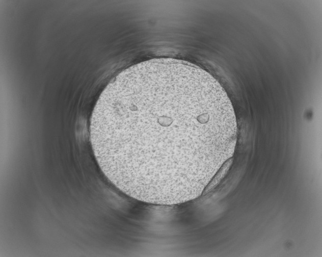 X0000116850089201002021054