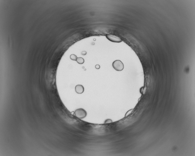 X0000116850091201002021054