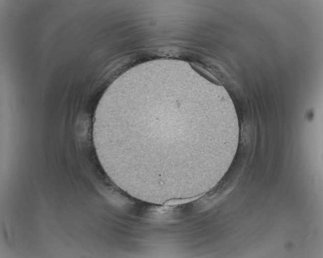 X0000116850092201002021054