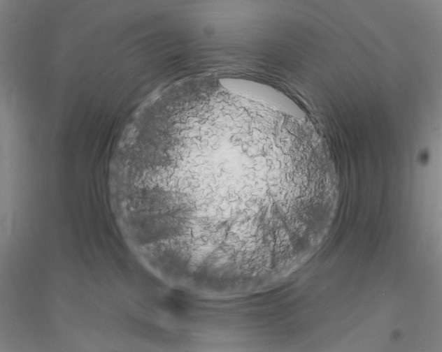 X0000116850093201002021054
