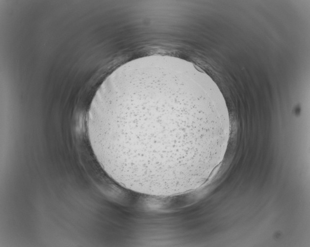 X0000116850094201002021054