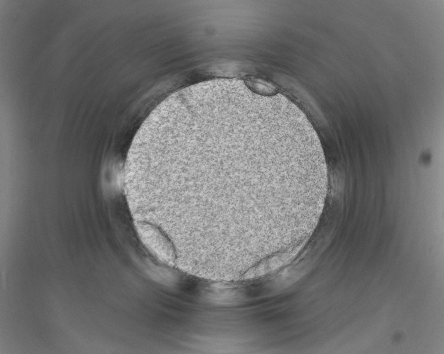 X0000116850095201002021054