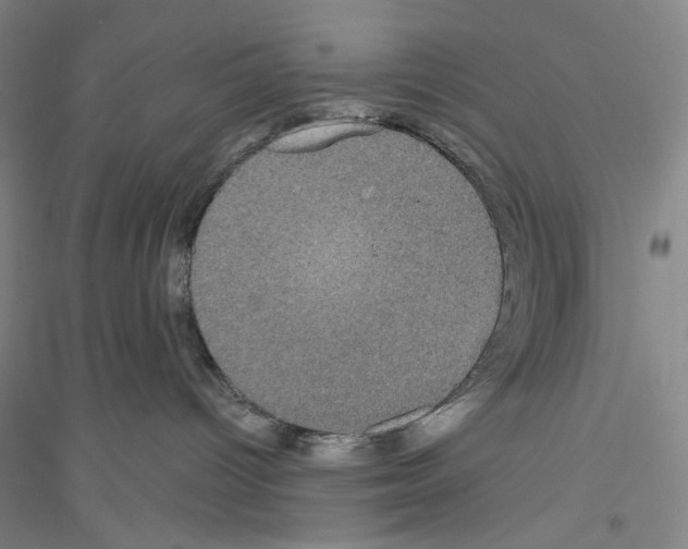 X0000116850096201002021054