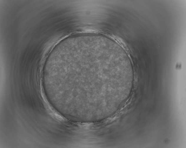 X0000116850097201002021054