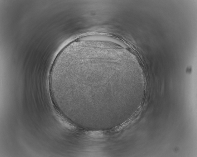 X0000116850100201002021054