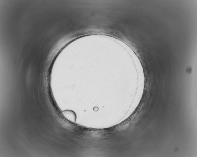 X0000116850103201002021054