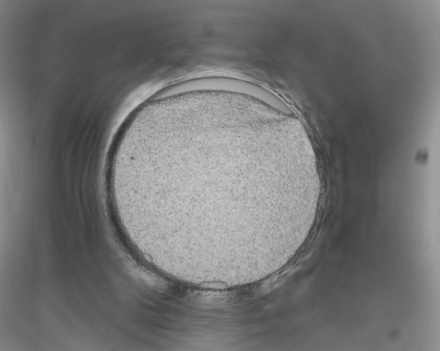 X0000116850104201002021054