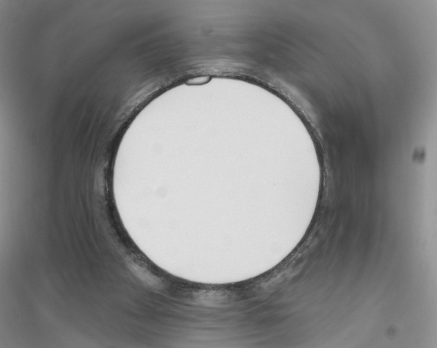 X0000116850105201002021054
