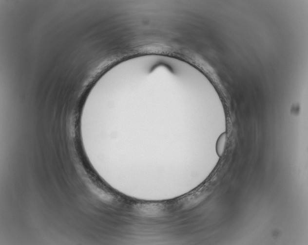 X0000116850106201002021053