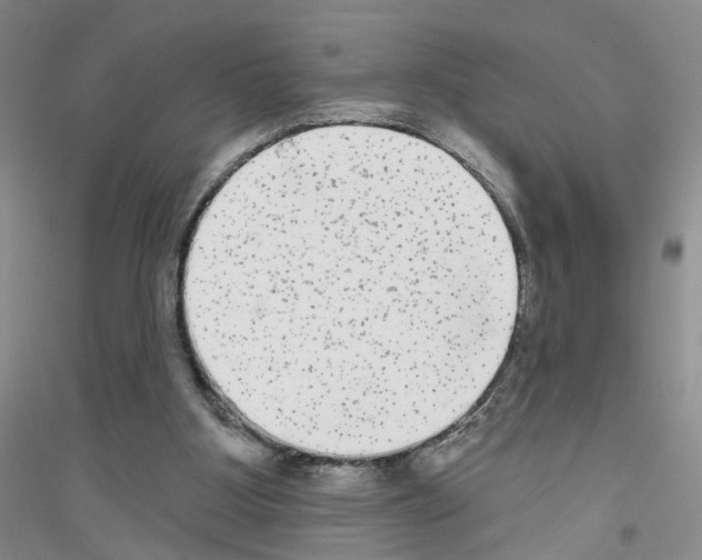 X0000116850107201002021053