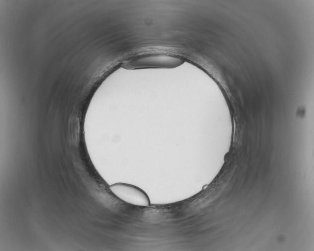 X0000116850109201002021053