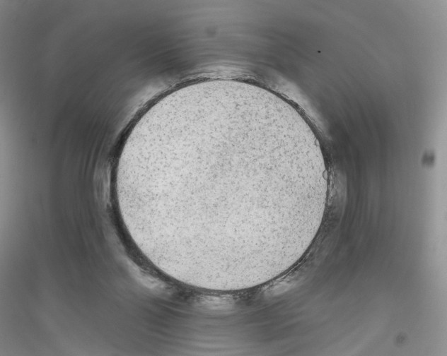 X0000116850110201002021053