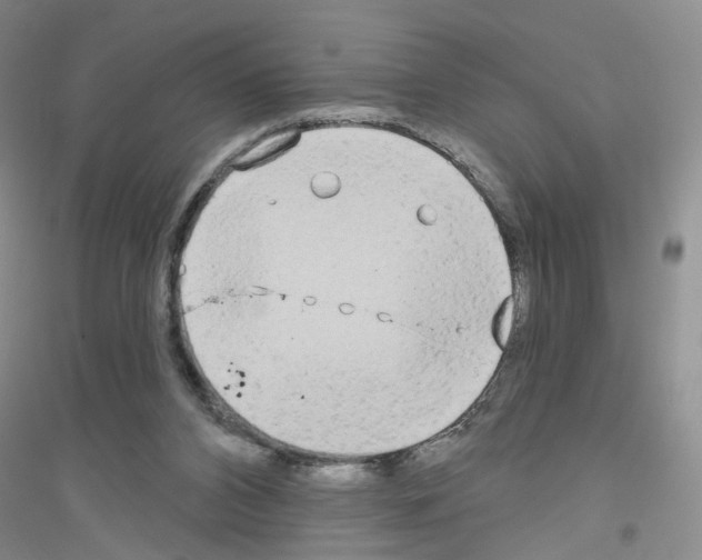X0000116850112201002021053