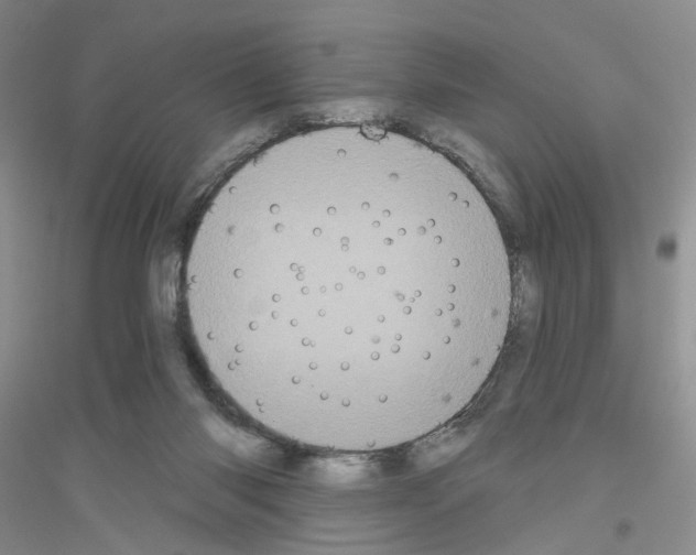 X0000116850118201002021053