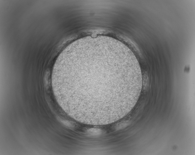 X0000116850119201002021053