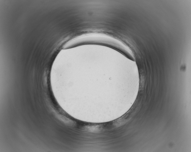 X0000116850120201002021053