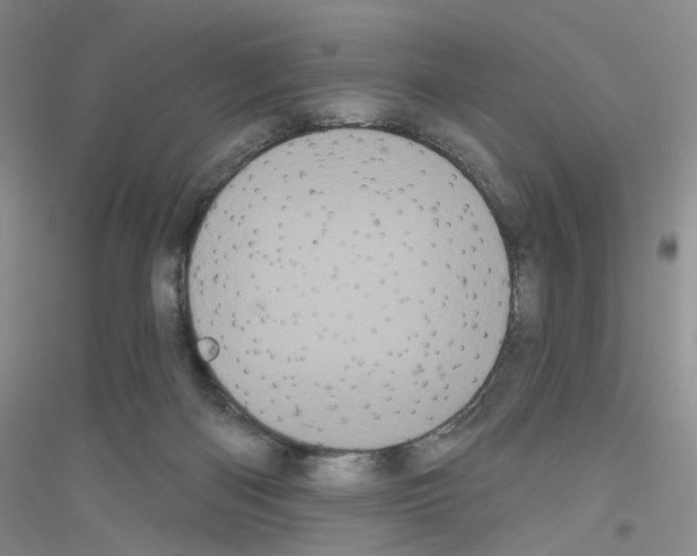 X0000116850122201002021053