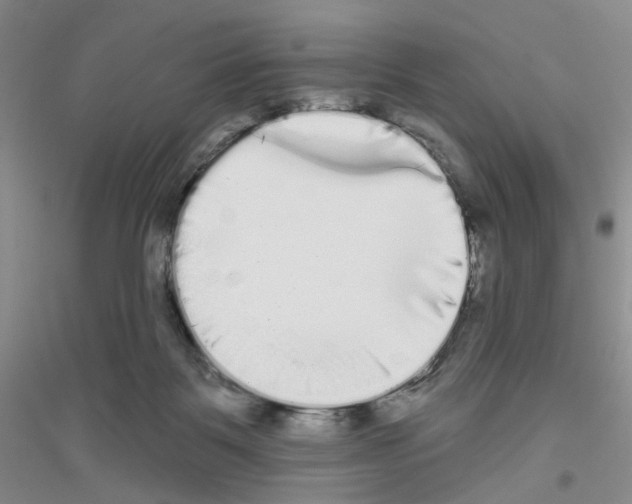 X0000116850123201002021053