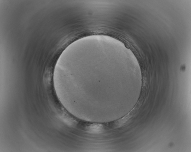 X0000116850124201002021053