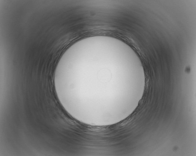 X0000116850125201002021053