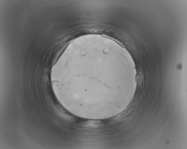 X0000116850128201002021053