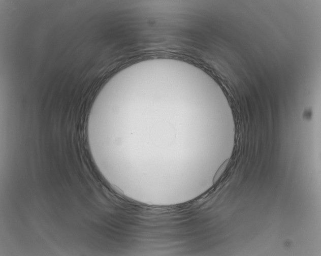X0000116850129201002021053
