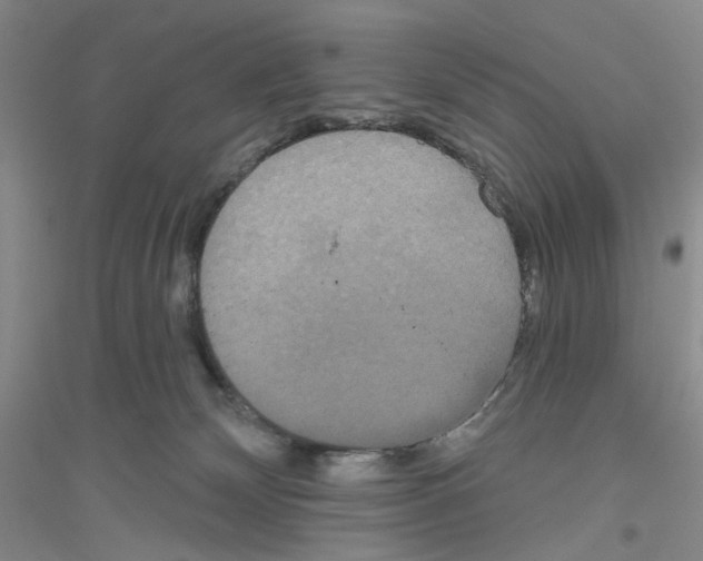 X0000116850132201002021053