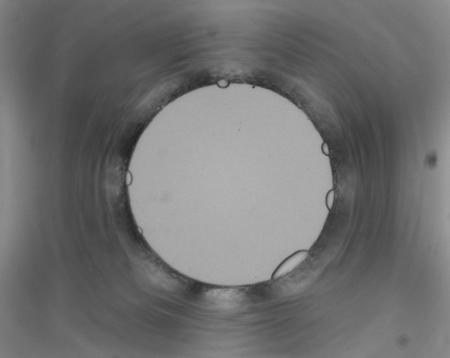 X0000116850133201002021053