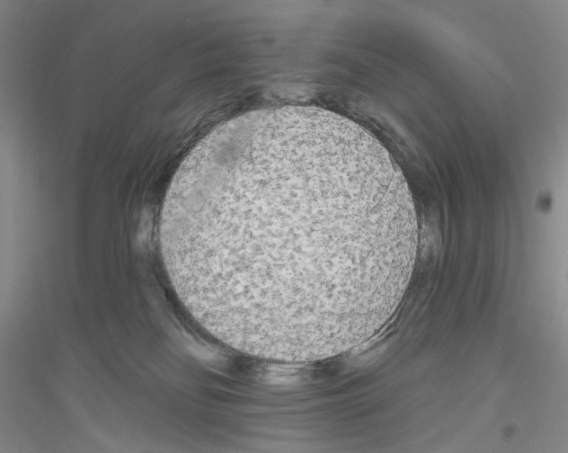 X0000116850134201002021053