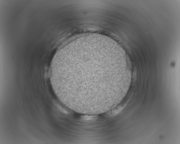 X0000116850135201002021053