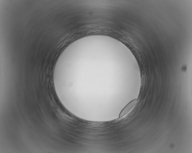 X0000116850136201002021053